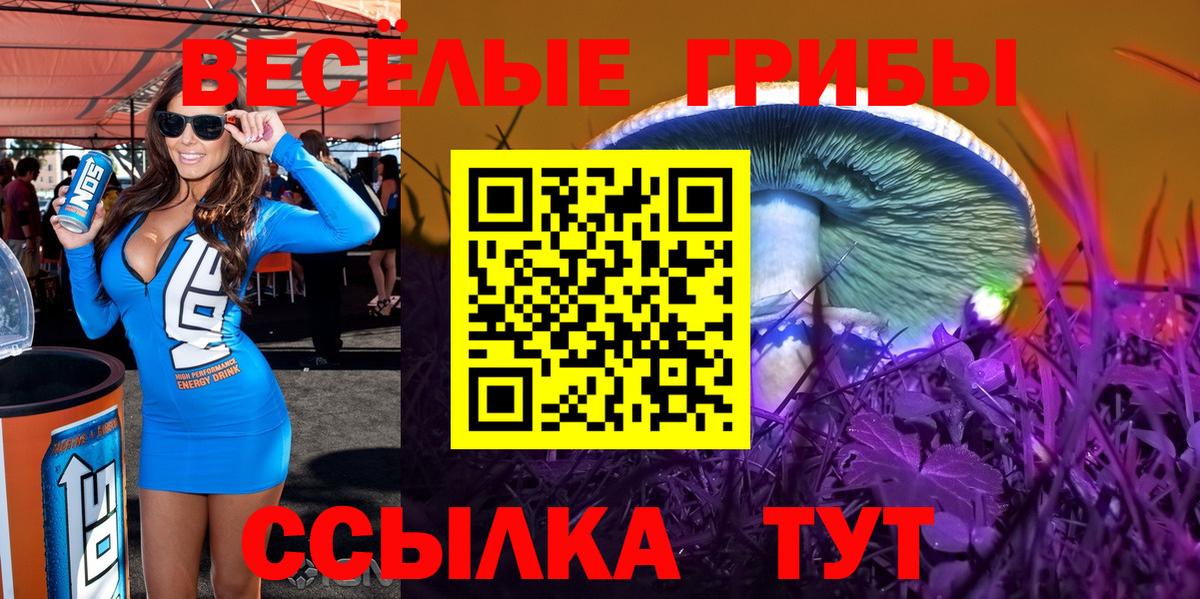 где найти наркотики  Вход с VPN  Ишимбай  Псилоцибиновые грибы прущие грибы 